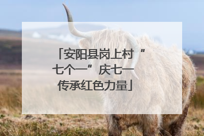 安阳县岗上村“七个一”庆七一 传承红色力量