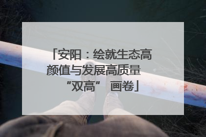 安阳：绘就生态高颜值与发展高质量 “双高” 画卷