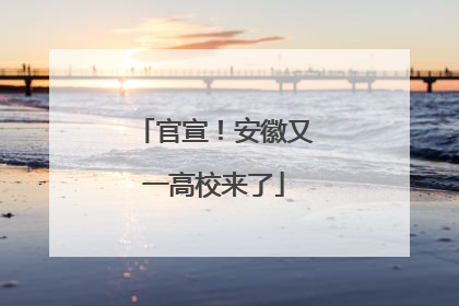 官宣！安徽又一高校来了