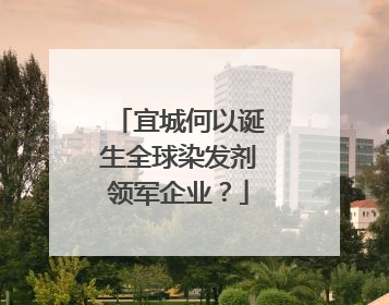 宜城何以诞生全球染发剂领军企业？