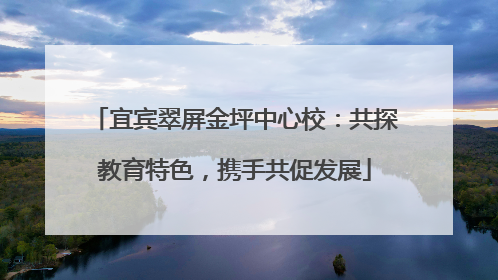 宜宾翠屏金坪中心校：共探教育特色，携手共促发展