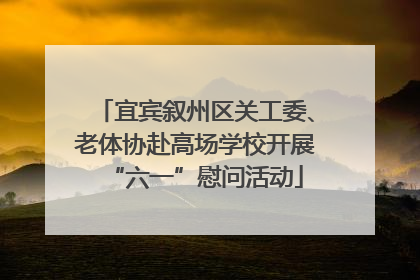 宜宾叙州区关工委、老体协赴高场学校开展“六一”慰问活动