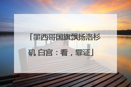 墨西哥国旗飘扬洛杉矶 白宫：看，罪证