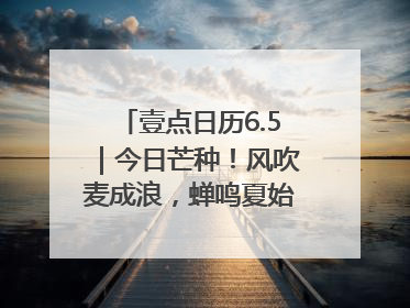 壹点日历6.5｜今日芒种！风吹麦成浪，蝉鸣夏始忙！大家早安