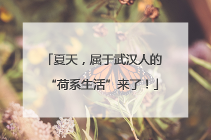 夏天，属于武汉人的“荷系生活”来了！