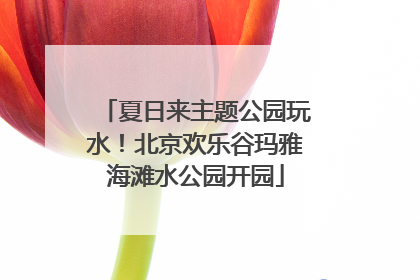 夏日来主题公园玩水！北京欢乐谷玛雅海滩水公园开园