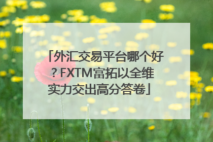 外汇交易平台哪个好？FXTM富拓以全维实力交出高分答卷
