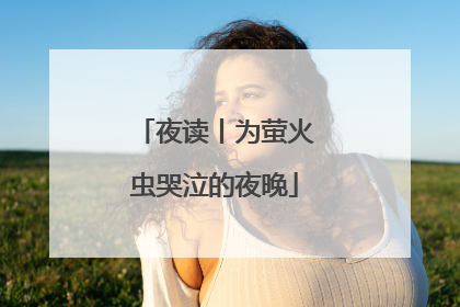 夜读丨为萤火虫哭泣的夜晚