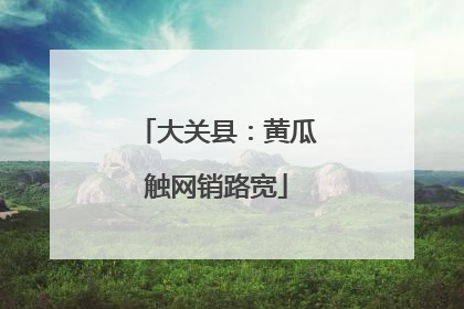 大关县：黄瓜触网销路宽
