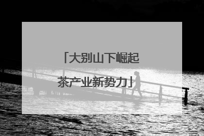大别山下崛起茶产业新势力
