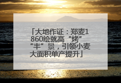 大地作证：郑麦1860绘就高“烤”“丰”景，引领小麦大面积单产提升