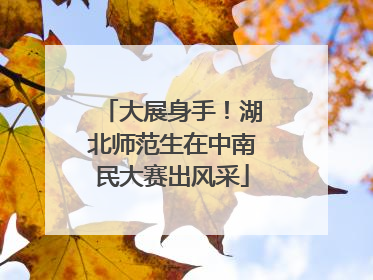 大展身手！湖北师范生在中南民大赛出风采