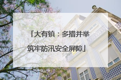 大有镇：多措并举筑牢防汛安全屏障