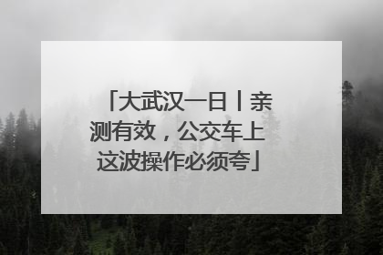 大武汉一日丨亲测有效，公交车上这波操作必须夸