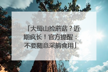 大蜀山捡蘑菇？近期疯长！官方提醒：不要随意采摘食用
