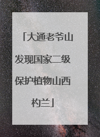 大通老爷山发现国家二级保护植物山西杓兰