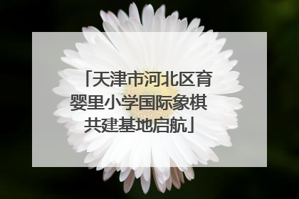 天津市河北区育婴里小学国际象棋共建基地启航