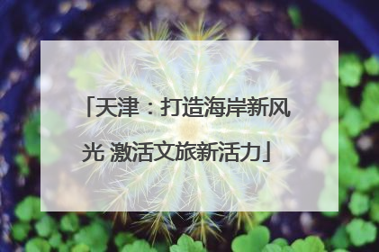 天津：打造海岸新风光 激活文旅新活力