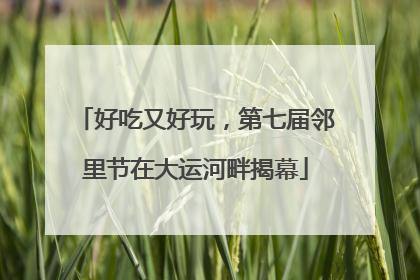 好吃又好玩，第七届邻里节在大运河畔揭幕