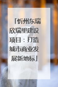 忻州东瑞欣瑞里建设项目：打造城市商业发展新地标
