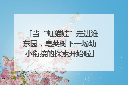 当“虹猫娃”走进淮东园，皂荚树下一场幼小衔接的探索开始啦