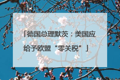 德国总理默茨：美国应给予欧盟“零关税”