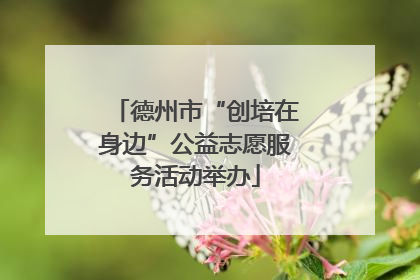 德州市“创培在身边”公益志愿服务活动举办