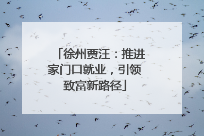 徐州贾汪：推进家门口就业，引领致富新路径