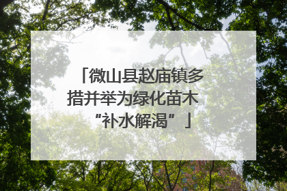 微山县赵庙镇多措并举为绿化苗木“补水解渴”