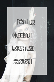 微山县韩庄镇开展防汛应急演练