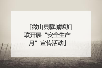 微山县驩城镇妇联开展“安全生产月”宣传活动