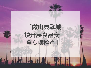 微山县驩城镇开展食品安全专项检查