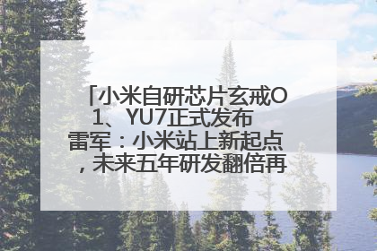 小米自研芯片玄戒O1、YU7正式发布 雷军：小米站上新起点，未来五年研发翻倍再投2000亿元