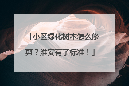 小区绿化树木怎么修剪？淮安有了标准！