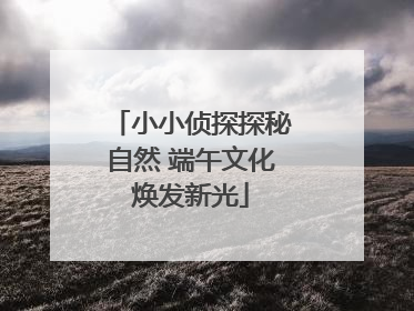 小小侦探探秘自然 端午文化焕发新光