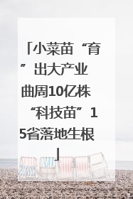 小菜苗“育”出大产业 曲周10亿株“科技苗”15省落地生根