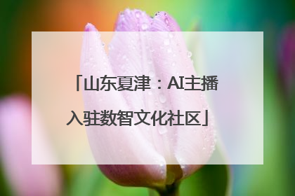 山东夏津：AI主播入驻数智文化社区