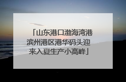 山东港口渤海湾港滨州港区港华码头迎来入夏生产小高峰