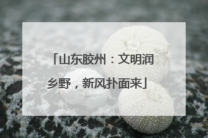 山东胶州：文明润乡野，新风扑面来