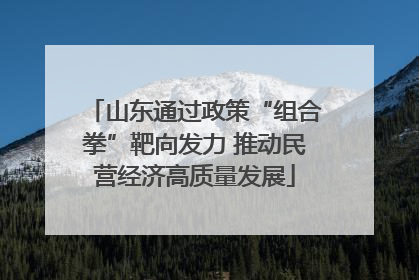 山东通过政策“组合拳”靶向发力 推动民营经济高质量发展