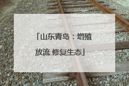 山东青岛：增殖放流 修复生态