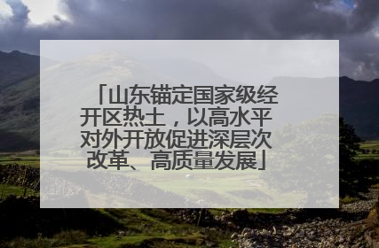 山东锚定国家级经开区热土，以高水平对外开放促进深层次改革、高质量发展