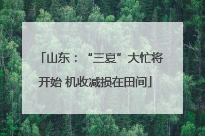 山东：“三夏”大忙将开始 机收减损在田间