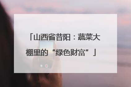 山西省昔阳：蔬菜大棚里的“绿色财富”