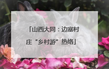 山西大同：边塞村庄“乡村游”热络