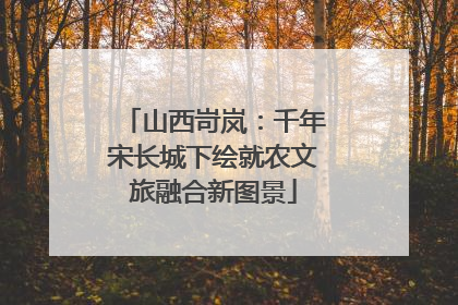 山西岢岚：千年宋长城下绘就农文旅融合新图景