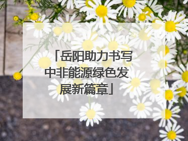 岳阳助力书写中非能源绿色发展新篇章