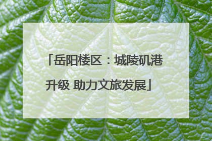 岳阳楼区：城陵矶港升级 助力文旅发展