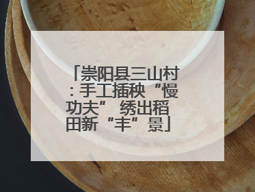 崇阳县三山村：手工插秧“慢功夫” 绣出稻田新“丰”景