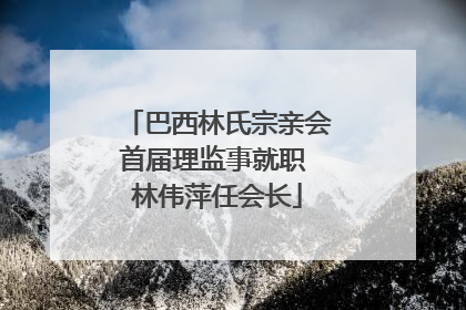 巴西林氏宗亲会首届理监事就职 林伟萍任会长